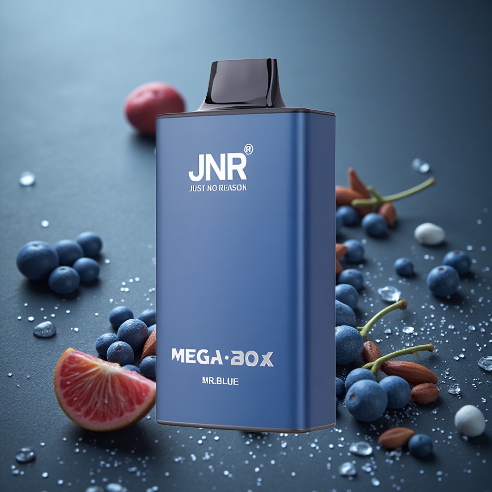 JNR Mega Box 25000パフ 2ニコチン ミスター・ブルー