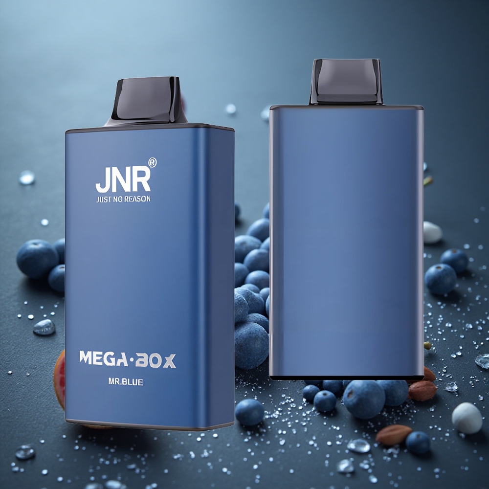 JNR Mega Box 25000パフ 2ニコチン ミスター・ブルー
