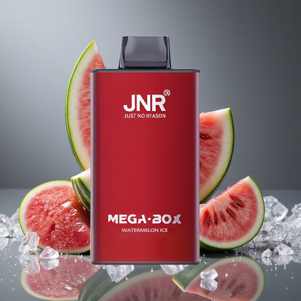 JNR Mega Box 25000パフ ウォーターメロンアイス デュアルメッシュコイル