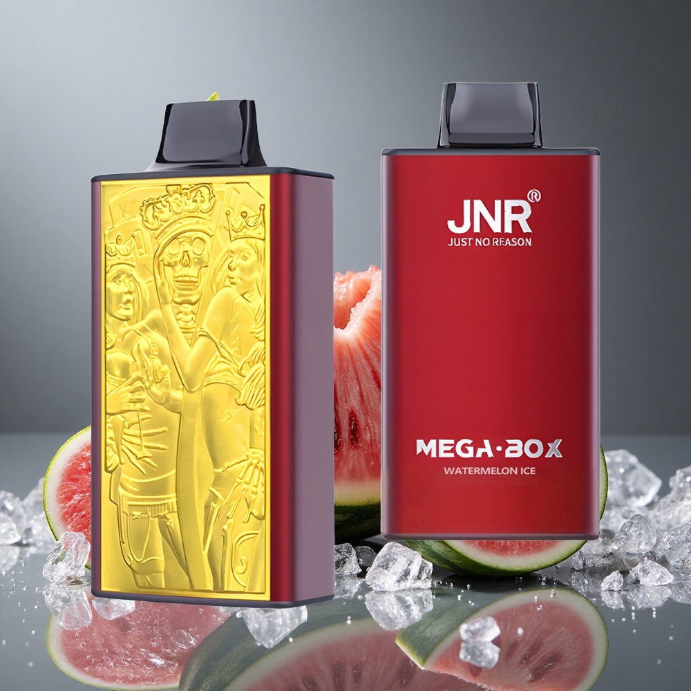 JNR Mega Box 25000パフ ウォーターメロンアイス デュアルメッシュコイル
