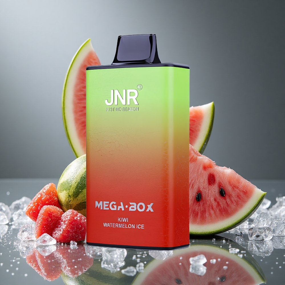 JNR Mega Box 25000パフ キウイウォーターメロンアイス 850mAh デュアルメッシュコイル