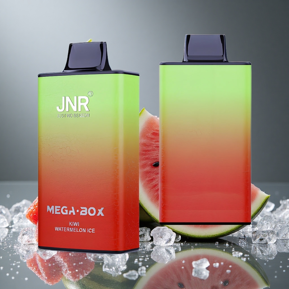 JNR Mega Box 25000パフ キウイウォーターメロンアイス 850mAh デュアルメッシュコイル