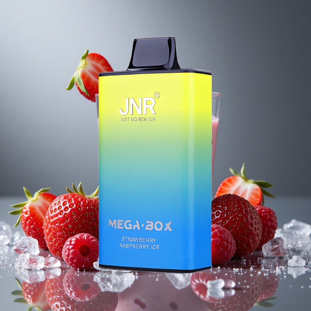 JNR Mega Box 25000パフ ストロベリーレッドラズベリーアイス デュアルメッシュコイル＆タイプC急速充電