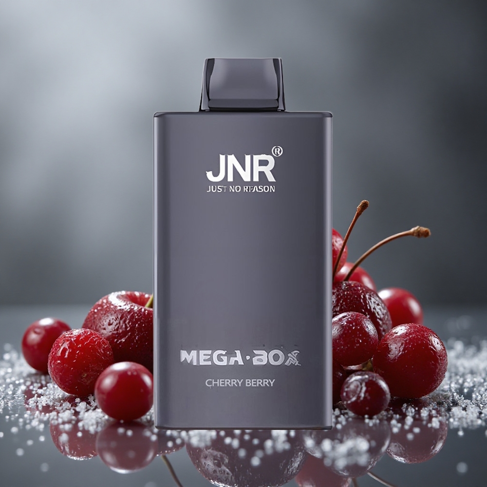 JNR Mega Box 25000パフ チェリーベリー デュアルメッシュコイル タイプC急速充電