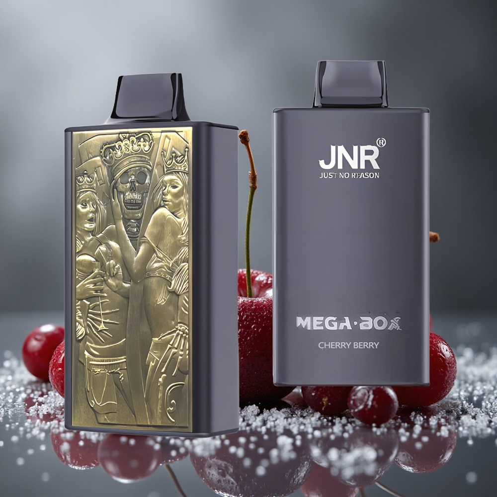 JNR Mega Box 25000パフ チェリーベリー デュアルメッシュコイル タイプC急速充電