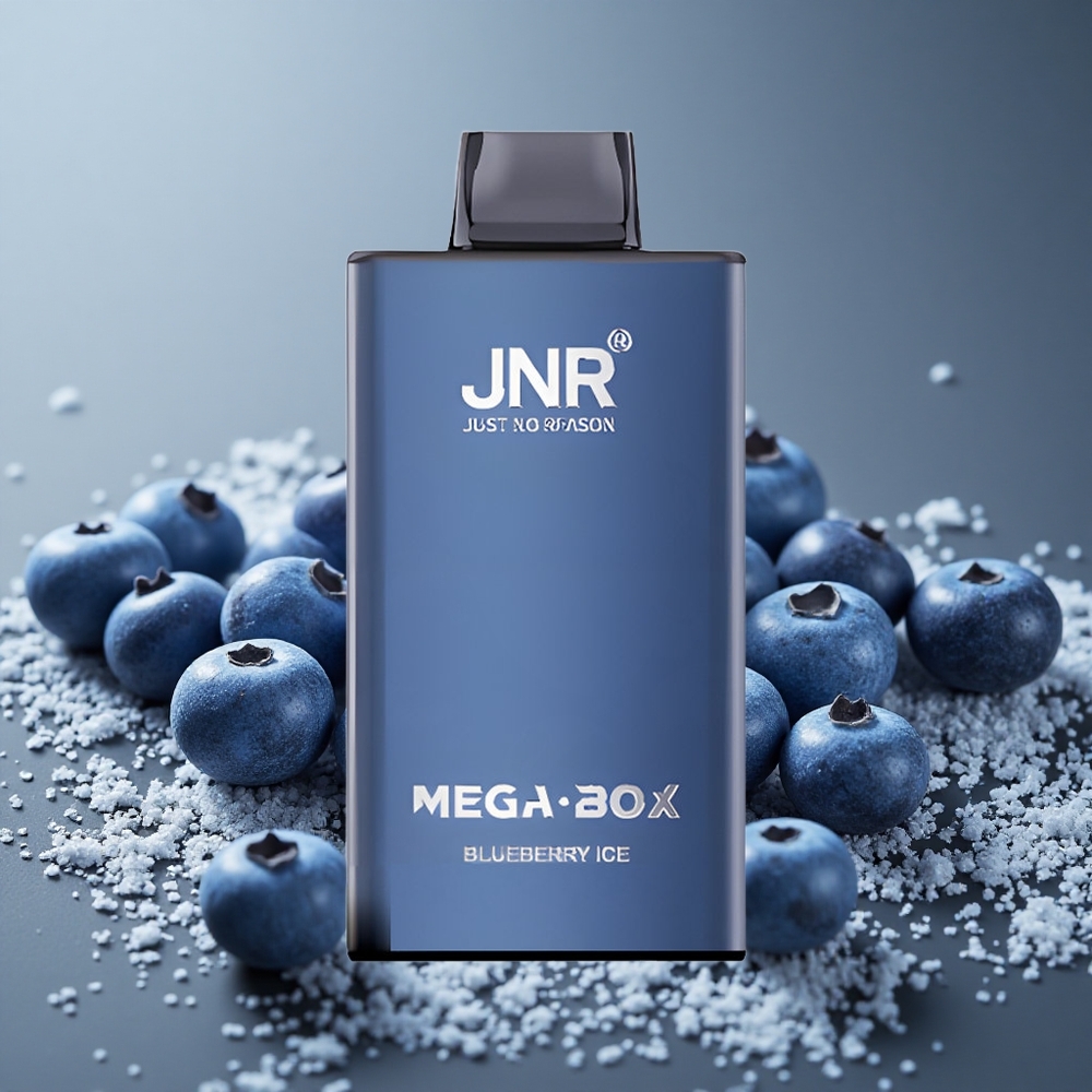 JNR Mega Box 25000パフ ブルーベリーアイス デュアルメッシュコイル 850mAh