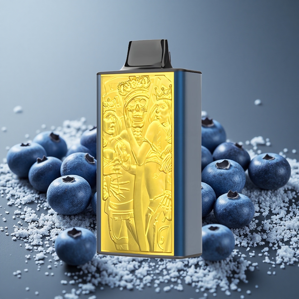JNR Mega Box 25000パフ ブルーベリーアイス デュアルメッシュコイル 850mAh