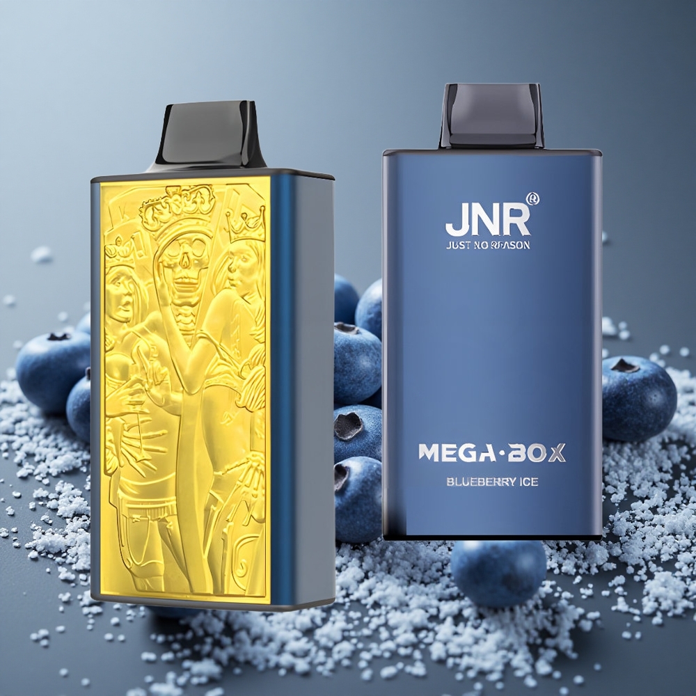 JNR Mega Box 25000パフ ブルーベリーアイス デュアルメッシュコイル 850mAh