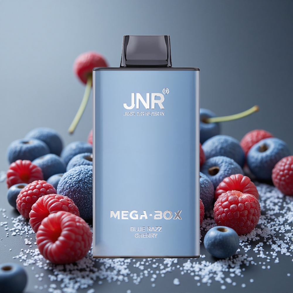 JNR Mega Box 25000パフ ブルーレズチェリー デュアルメッシュコイル＆タイプC充電