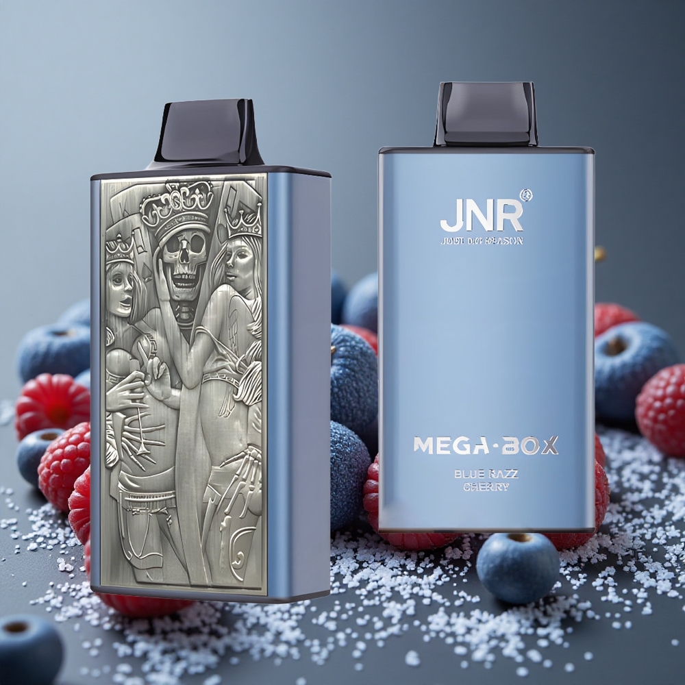 JNR Mega Box 25000パフ ブルーレズチェリー デュアルメッシュコイル＆タイプC充電