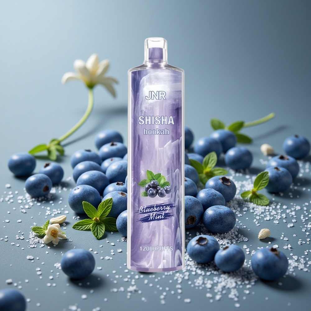 JNR Shisha Hookah 12000パフ ブルーベリーミント 24ml 750mAh