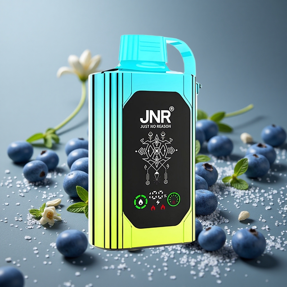 JNR Shisha Hookah Box 20500 パフ ブルーベリーミント デュアルメッシュコイル タイプC充電