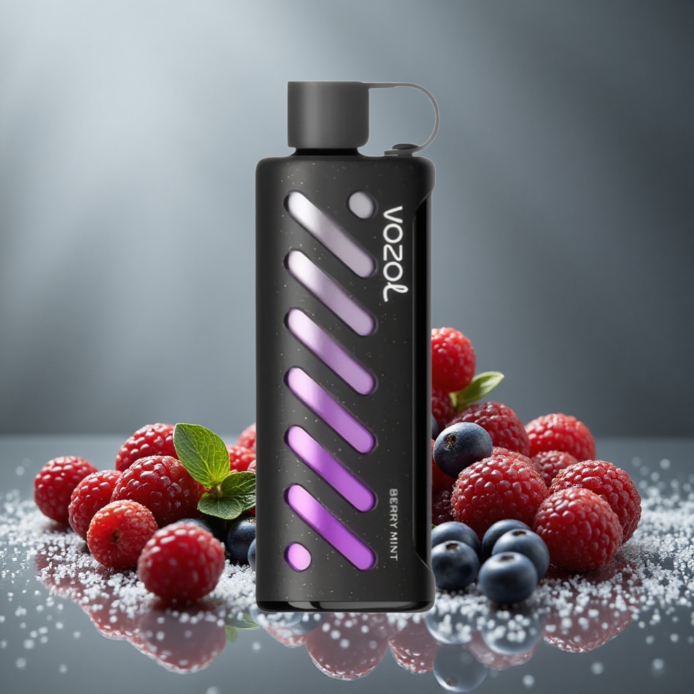 VOZOL Gear Shisha 25000 パフ デュアルメッシュ ベリーミント