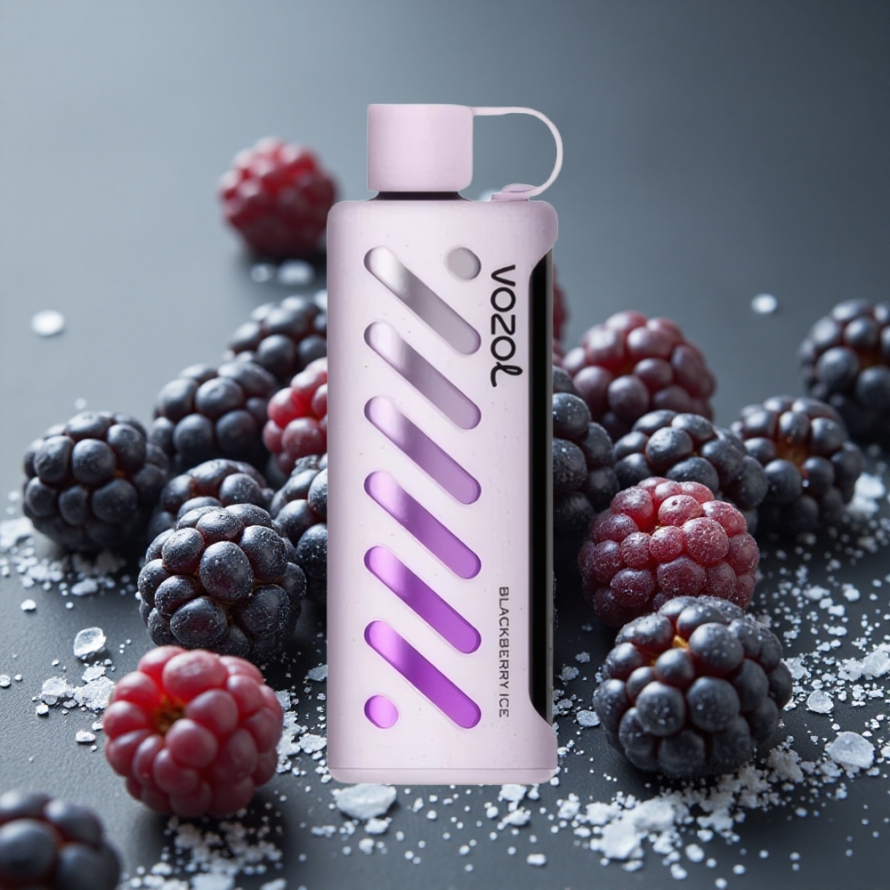 VOZOL Gear Shisha 25000 パフ ブラックベリーアイス デュアルメッシュ 1000mAh