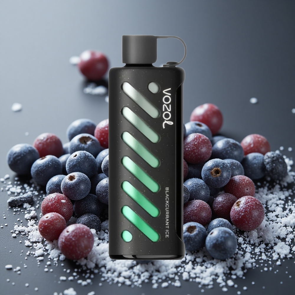 VOZOL Gear Shisha 25000パフ デュアルメッシュ ブラックカラントアイス