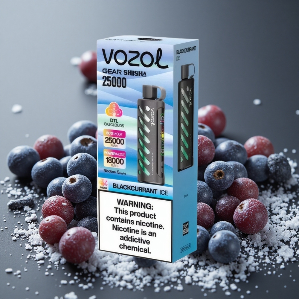 VOZOL Gear Shisha 25000パフ デュアルメッシュ ブラックカラントアイス