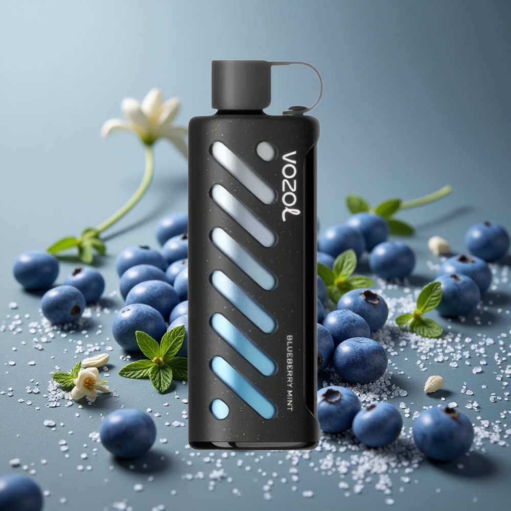 VOZOL Gear Shisha 25000パフ デュアルメッシュモード ブルーベリーミント