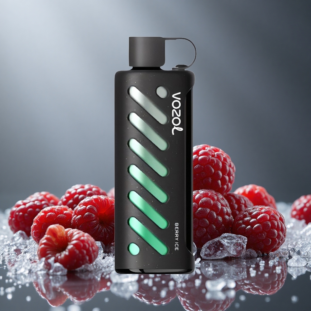 VOZOL Gear Shisha 25000パフ ベリーアイス デュアルメッシュ 1000mAh