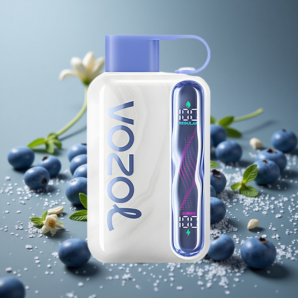 VOZOL STAR 40000パフ ブルーベリーミント 1000mAh タイプ-C