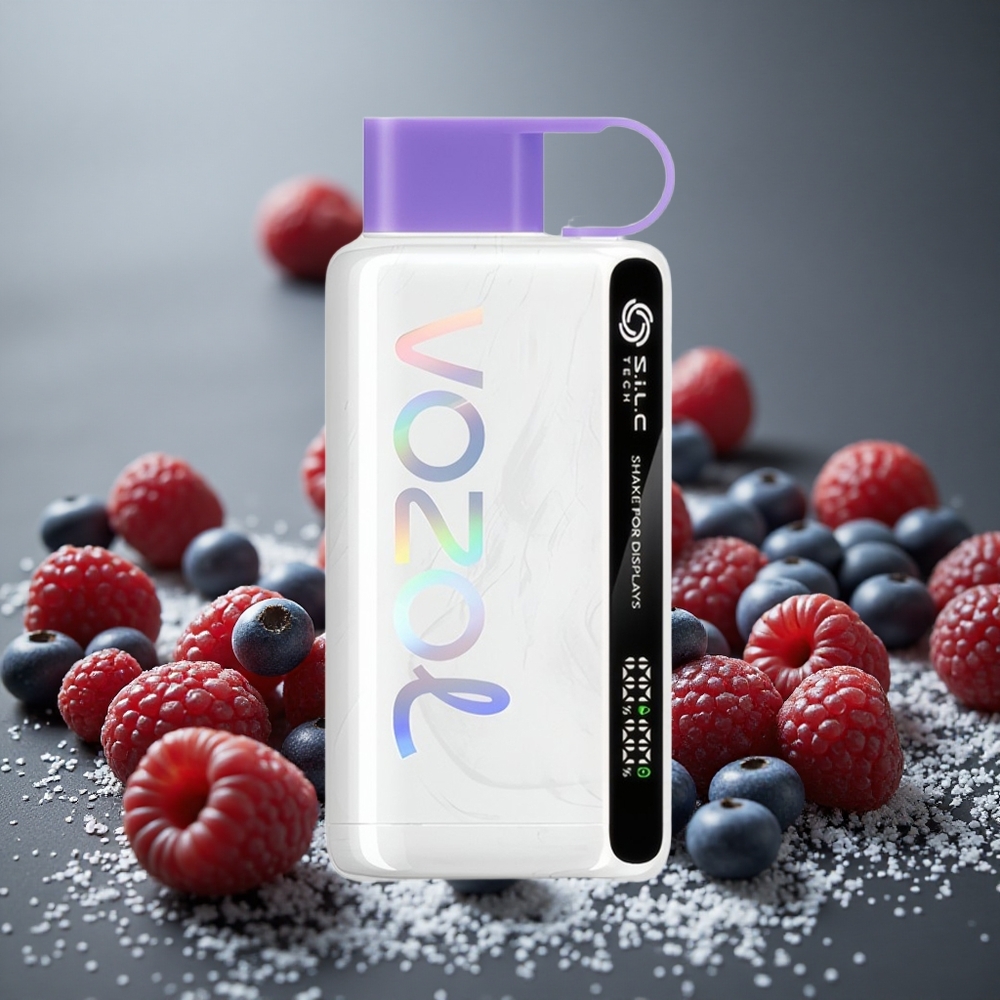 VOZOL STAR 9000/12000 使い捨てベイプ ミックスベリー 650mAh 30高速充電