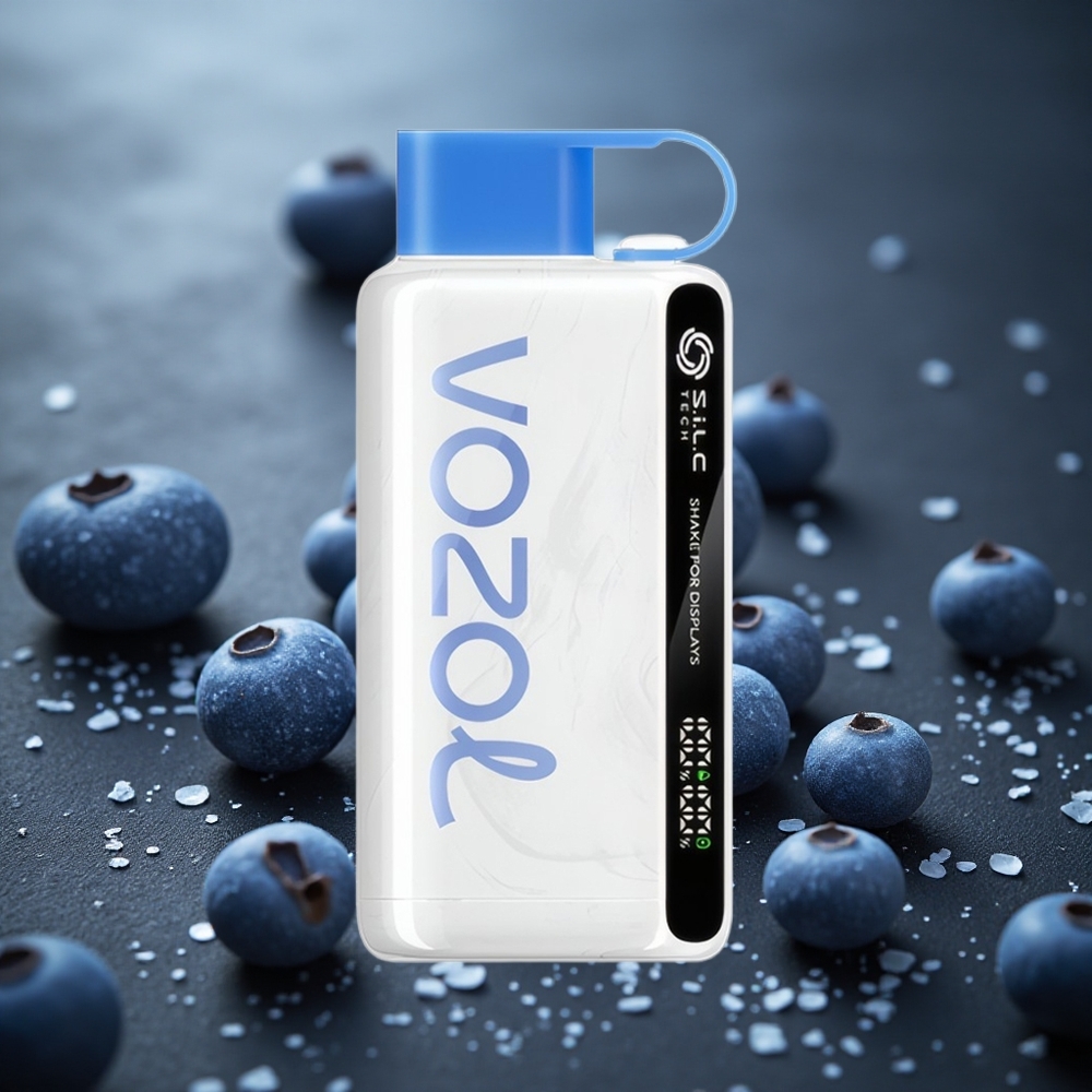 VOZOL STAR 9000/12000 使い捨べイプ ブルーベリースターム SiLC TECH 650mAh
