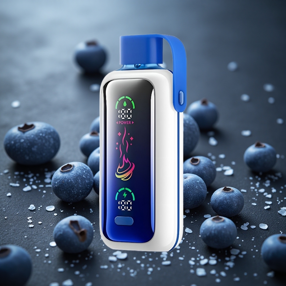 VOZOL Star 20000 パフ ブルーベリーストーム デュアルメッシュ 650mAh