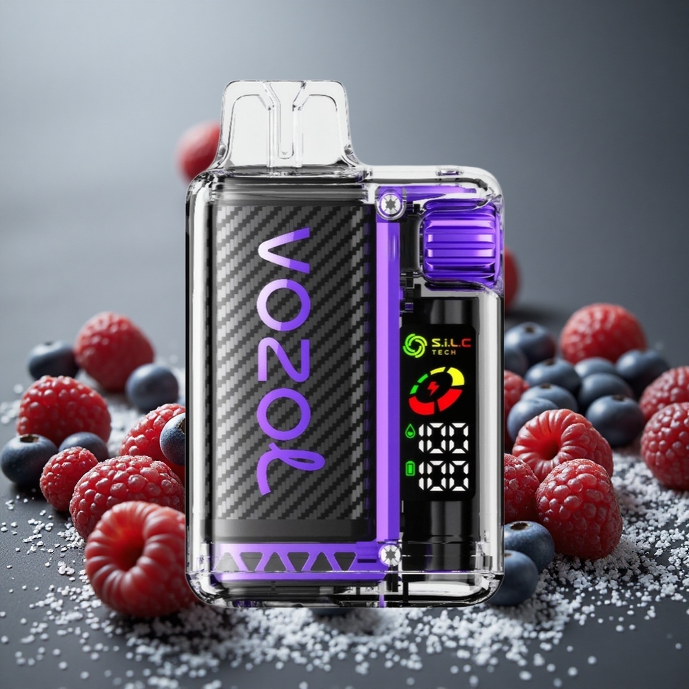 VOZOL Vista 20000パフ リチャージャブルバッテリー 650mAh ミックスベリー
