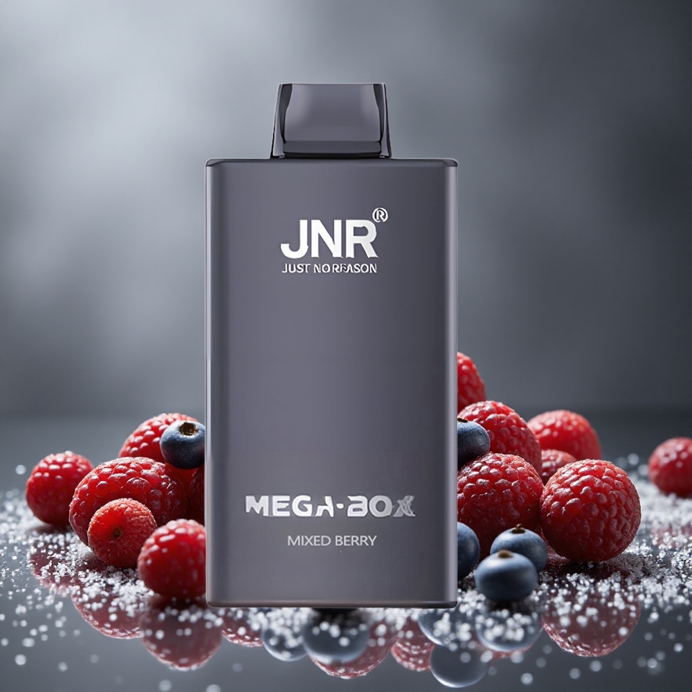 JNR Mega Box 25000パフ デュアルメッシュコイル ミックスベリー